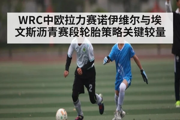 WRC中欧拉力赛诺伊维尔与埃文斯沥青赛段轮胎策略关键较量
